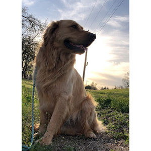 Meet your Posher, Addison